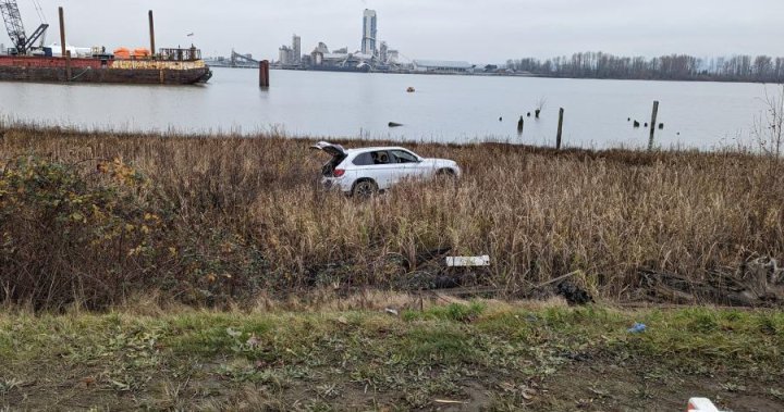 Woman tries to drive into Fraser River with 2 kids, police open criminal probe - BC