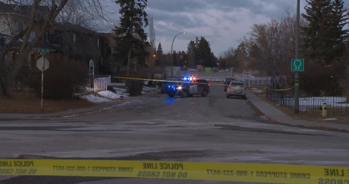 Calgary Police searching for suspect in southwest assault - Calgary