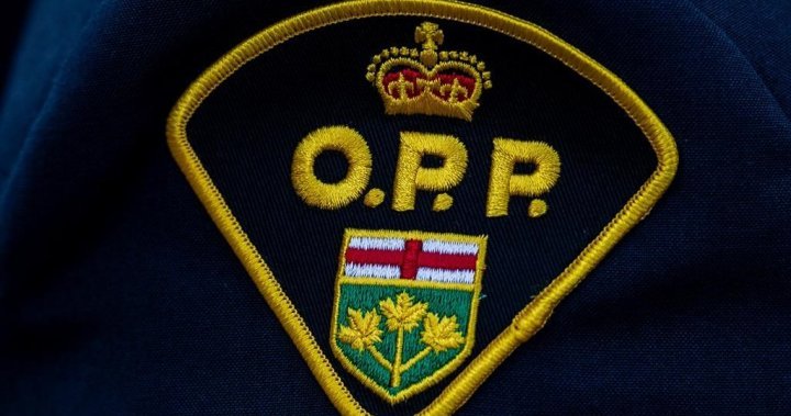 Four arrested after Orillia man found bound by rope in box