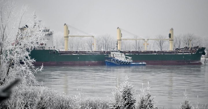 Ship stuck in St. Lawrence River for two weeks could be freed today - Montreal