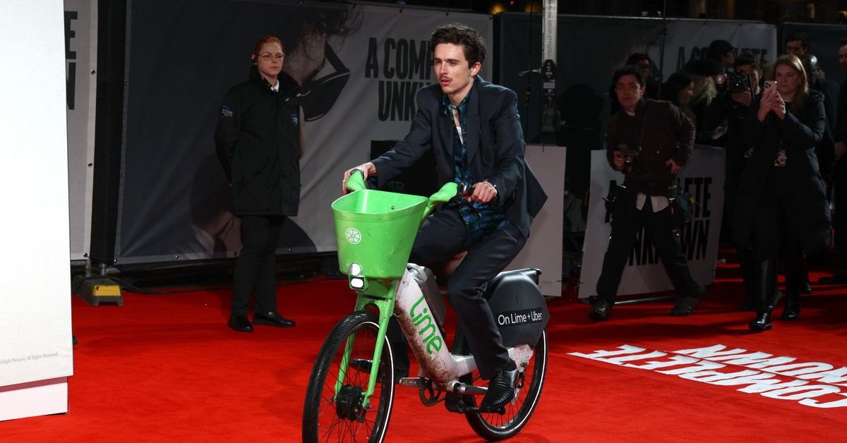 Timothee Chalamet cops $118 fine for red carpet bike stunt