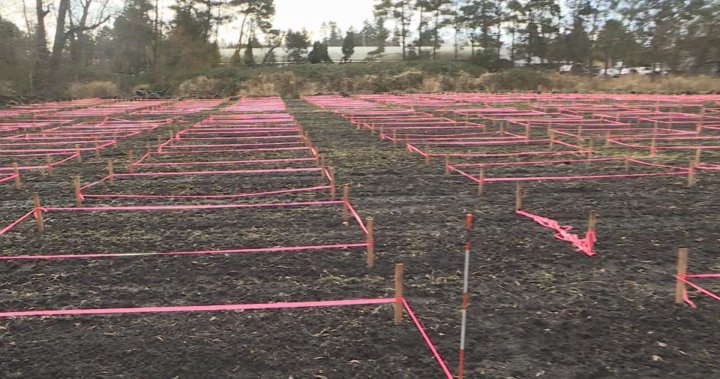 Massive new community garden set to open in Saanich this spring - BC